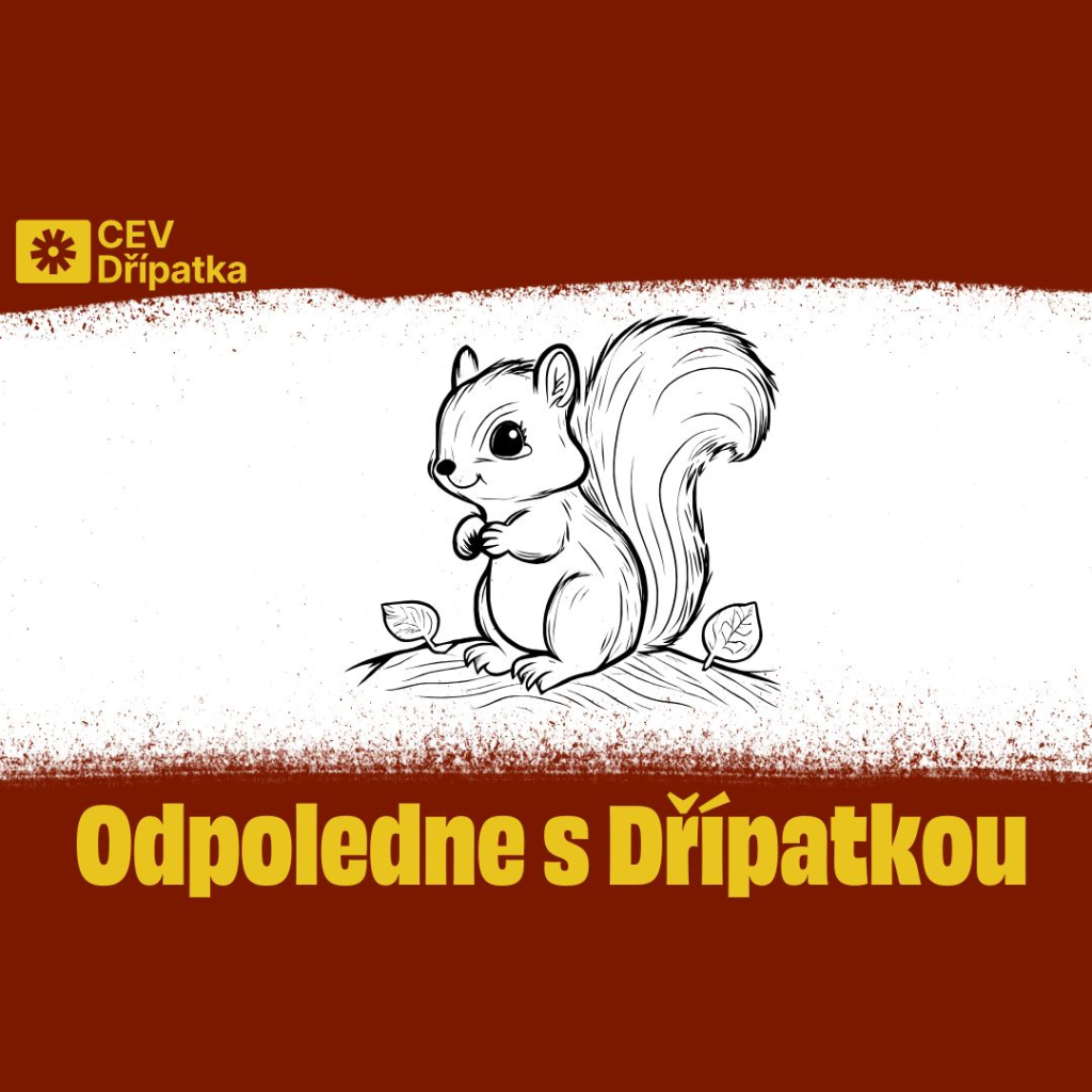 Odpoledne s Dřípatkou