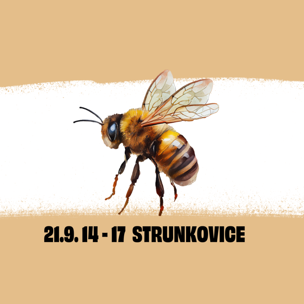 Včela