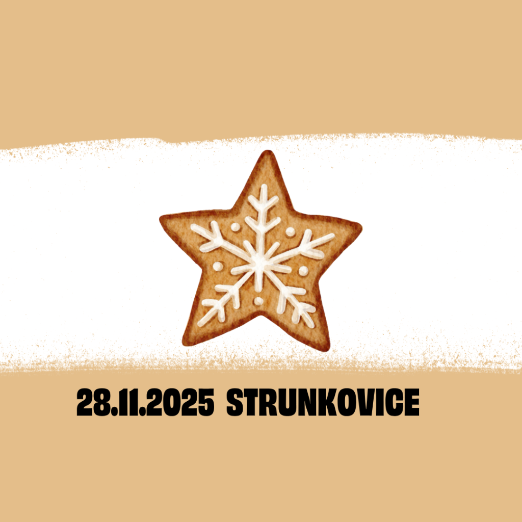 Tradiční Mikulášská výstava