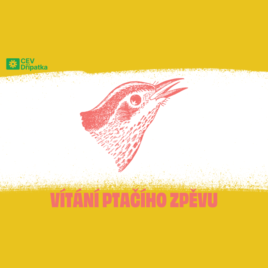 Vítání ptačího zpěvu 2026