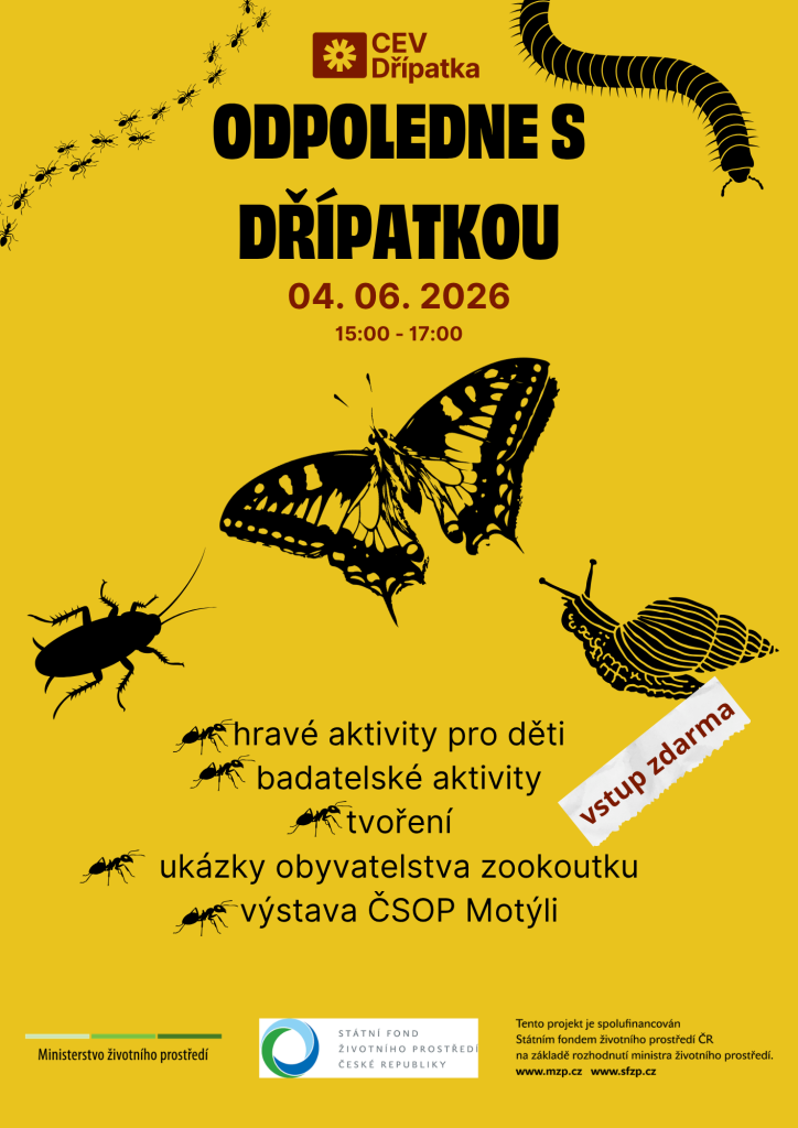 Odpoledne s Dřípatkou