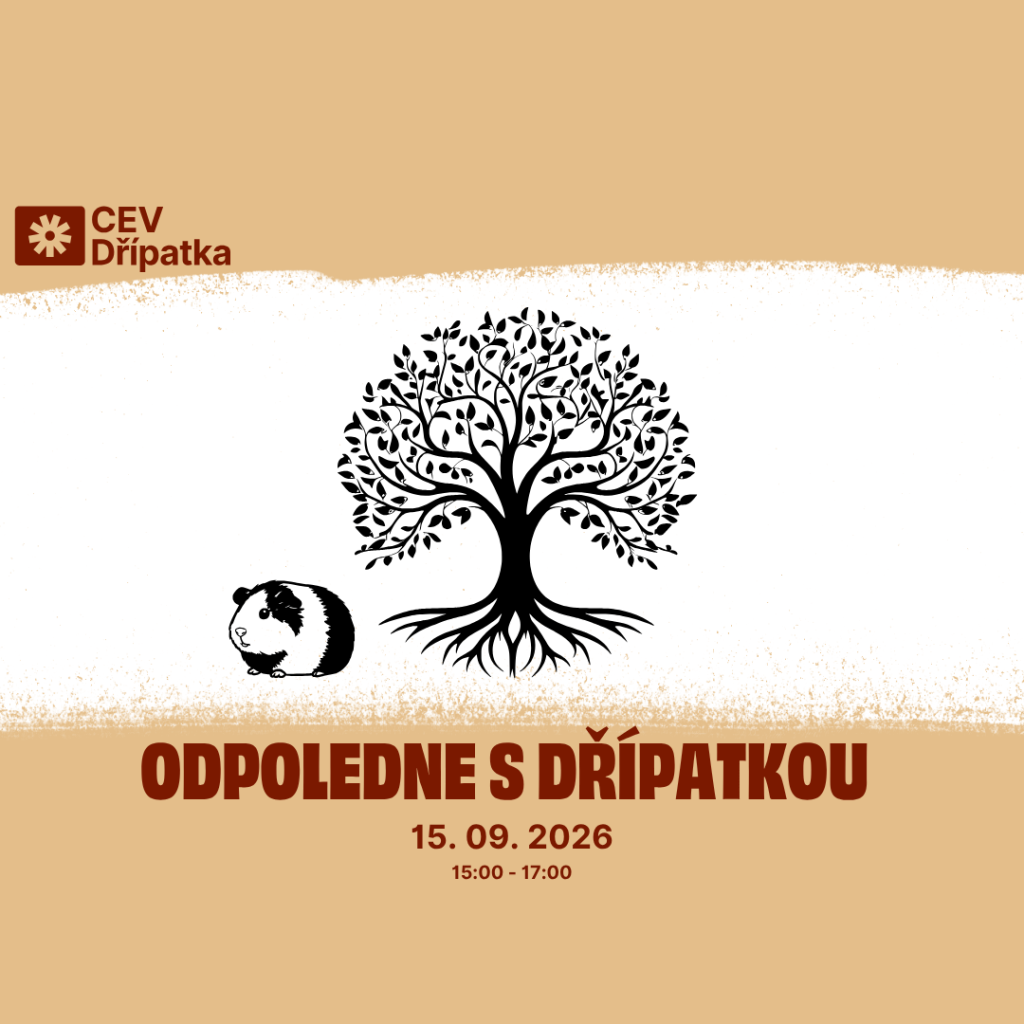 Odpoledne s Dřípatkou