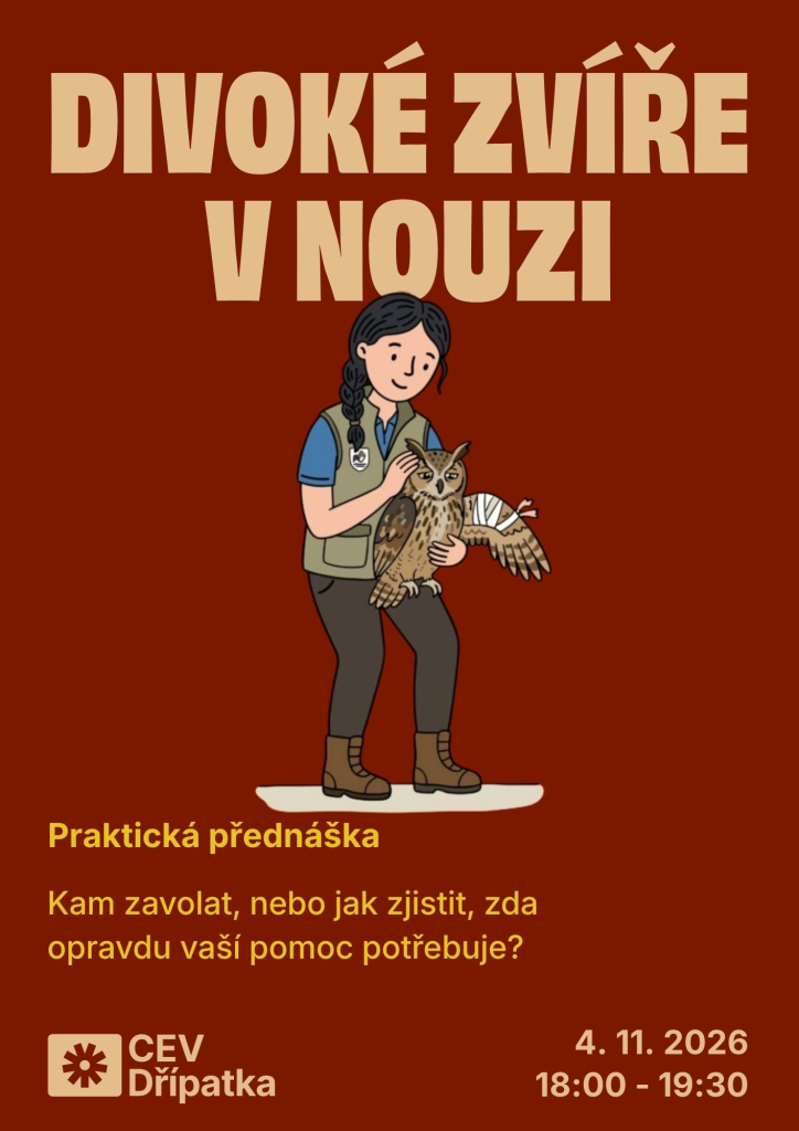 Divoké zvíře v nouzi