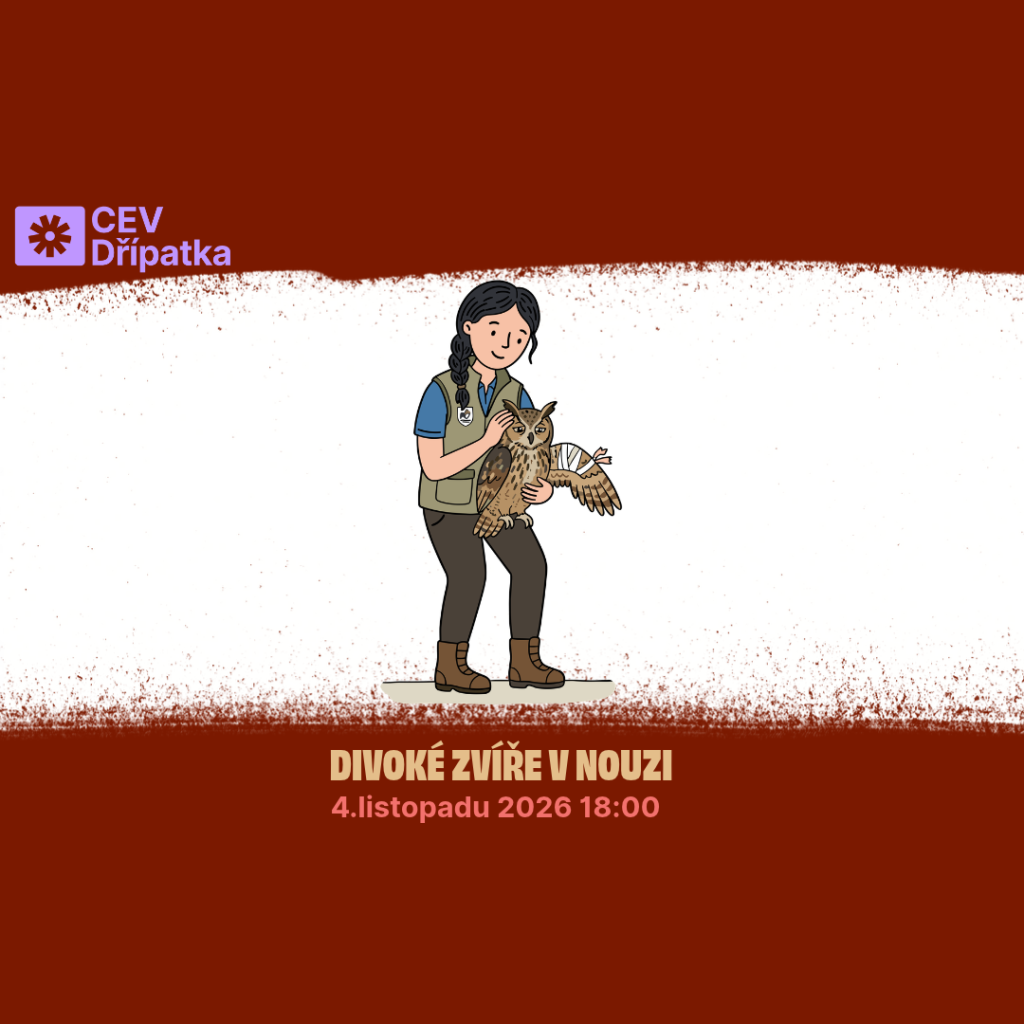 Divoké zvíře v nouzi