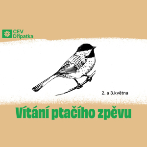 Vítání ptačího zpěvu - přednáška