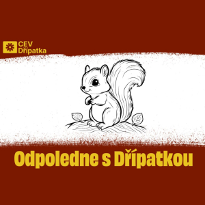 Odpoledne s Dřípatkou