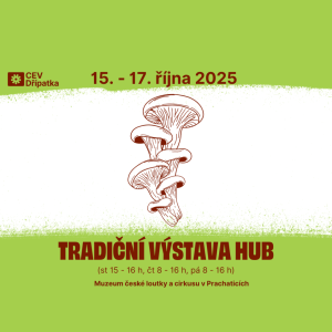 Výstava hub