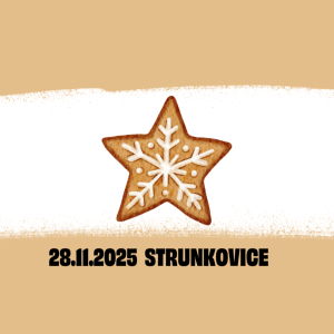 Tradiční Mikulášská výstava