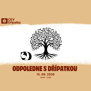 Odpoledne s Dřípatkou