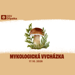 Mykologická vycházka
