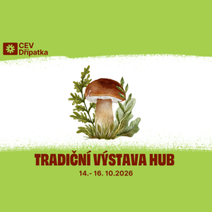 Tradiční výstava hub