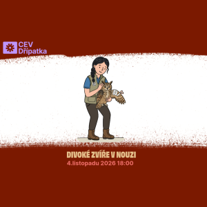 Divoké zvíře v nouzi